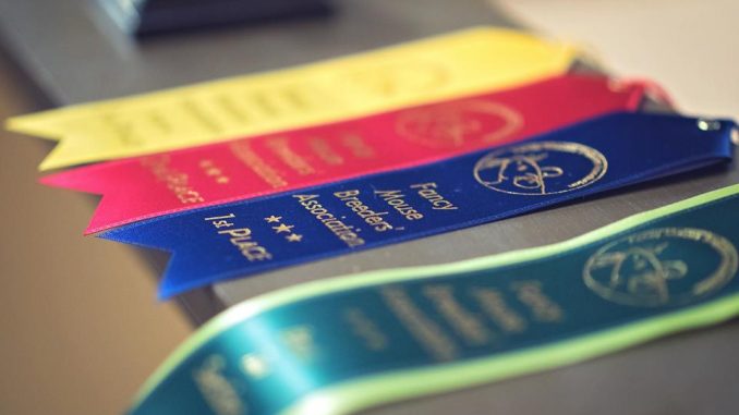Ribbons
