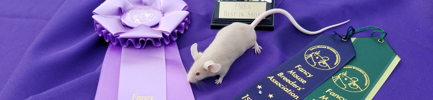 Fancy Mouse Breeders' Association