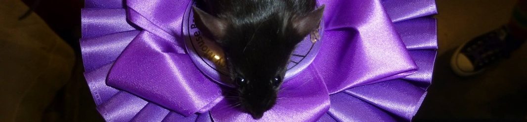 Fancy Mouse Breeders' Association
