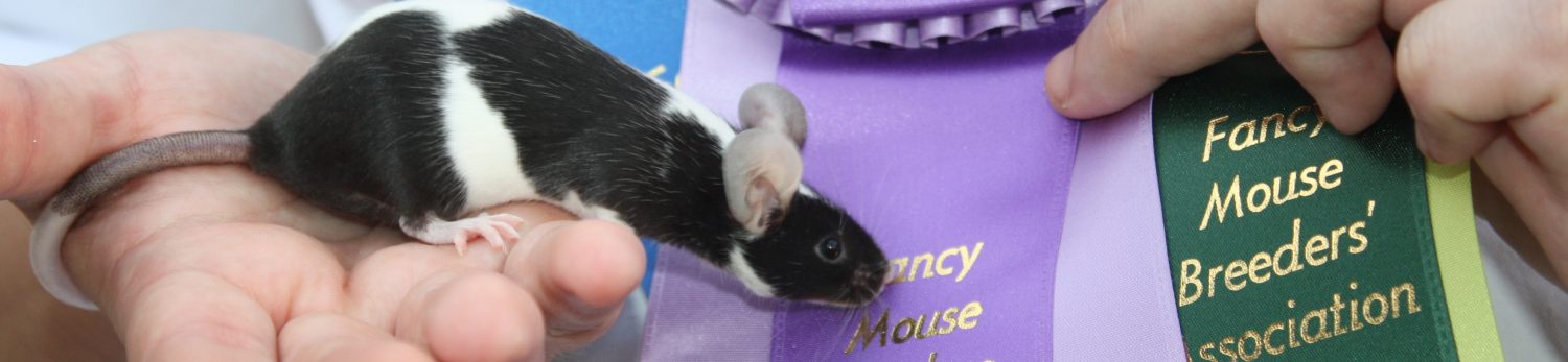 Fancy Mouse Breeders' Association