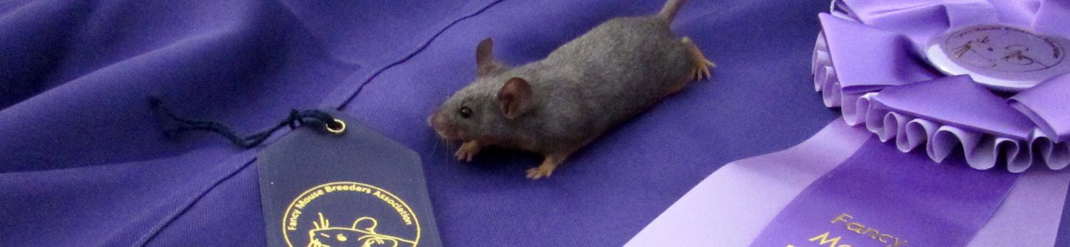 Fancy Mouse Breeders' Association